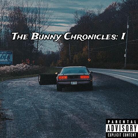 The Bunny Chronicles: 1