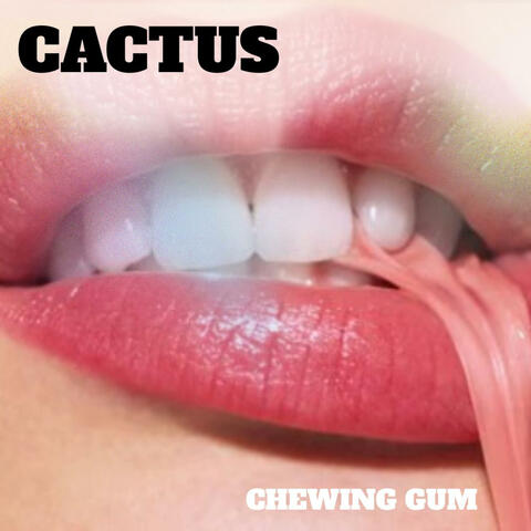CHEWING GUM