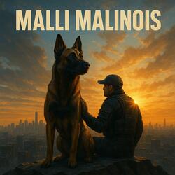 Mali Malinois