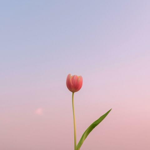 Care