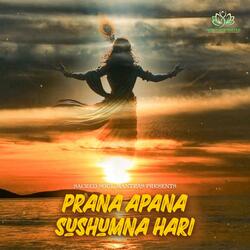 Prana Apana Sushumna Hari (feat. V. Laxmi)