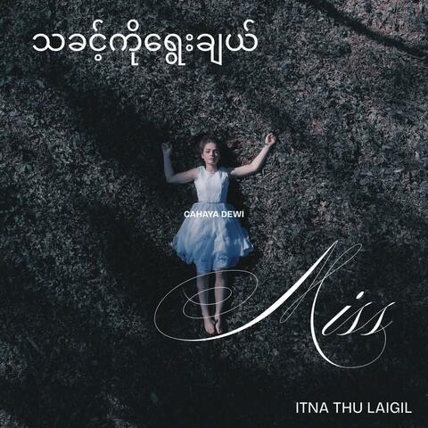 သခင့်ကိုရွေးချယ်