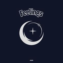 Feelings