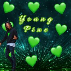 Young Pine