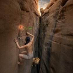 Sweet Strawberry Now