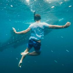 dans la mer, dans la nuit
