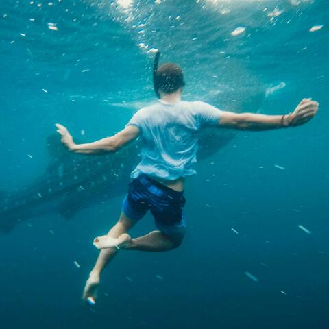 dans la mer, dans la nuit