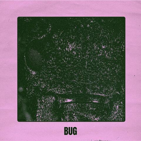 Bug