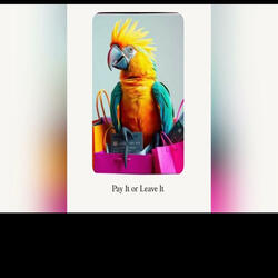 Pay It Or Leave It