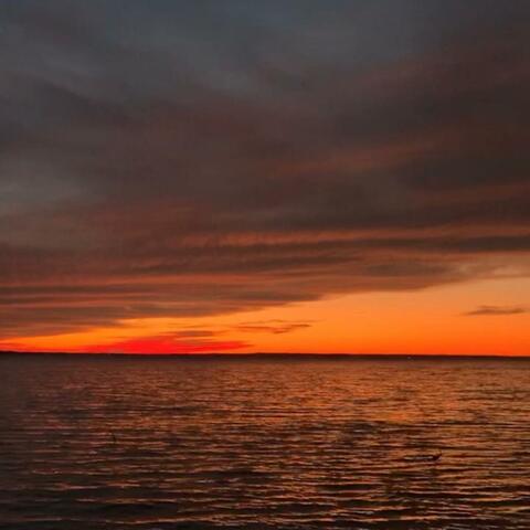 Devotions & Explorations