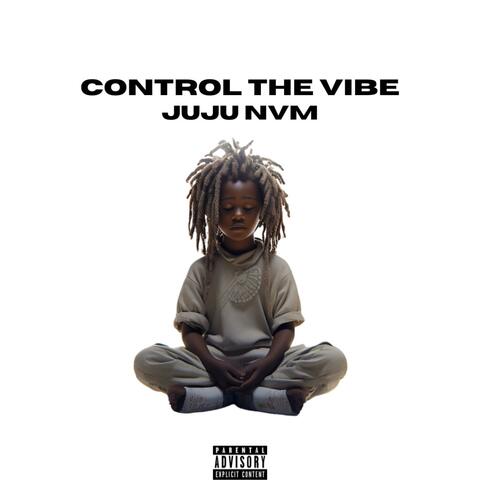 Control The Vibe