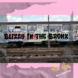 Blizzy In the Bronx