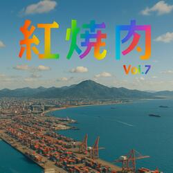 Smooth Folk Dance Music Hot Pot, Vol. 7