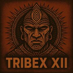 Tribex XII