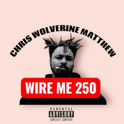 WIRE ME $250 (Radio Edit)