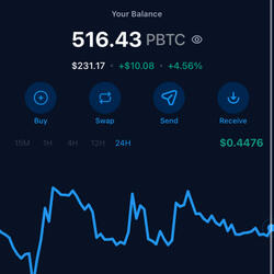 Big Bad Boi XRP