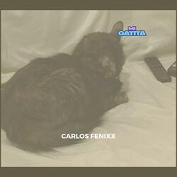 Mi Gatita