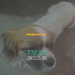 Porque Te Vas