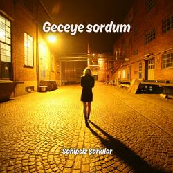 Geceye sordum