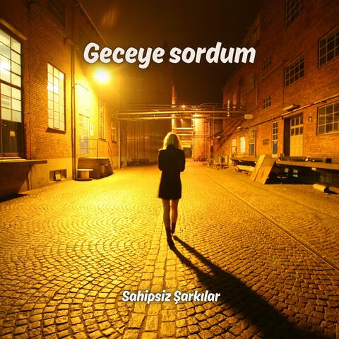 Geceye sordum