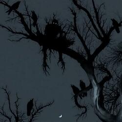 Hear the Crows Cry
