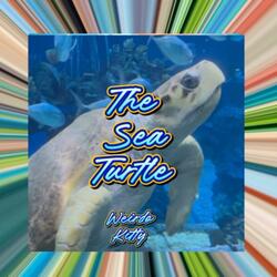 The Sea Turtle