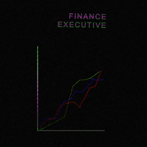 Finance Executive