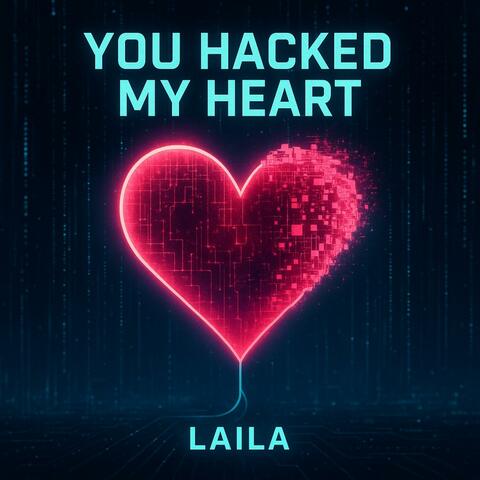 You Hacked My Heart