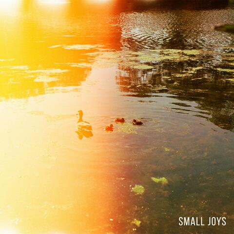 Small Joys
