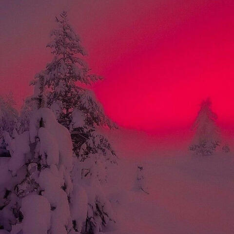 night
