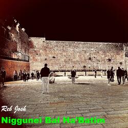 Mizmor L'Dovid (Reb Josh x Klezmer On The Roof)