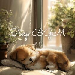 Sleep BGM / fluffy clouds