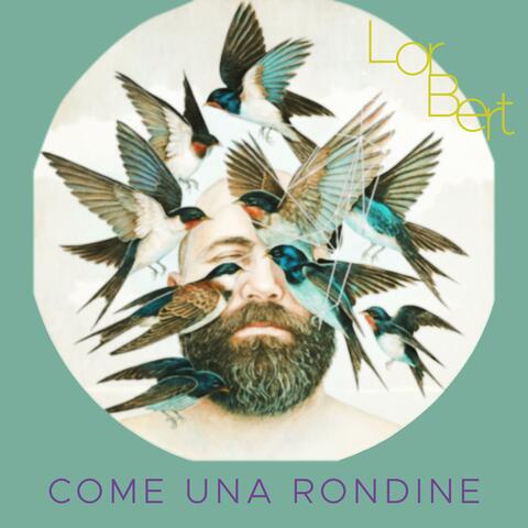 Come una Rondine