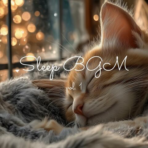 Sleep BGM vol.1