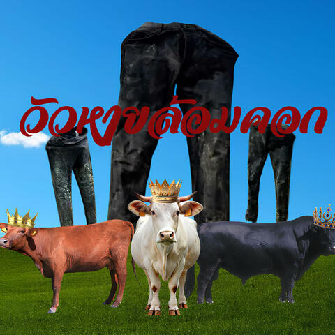 วัวหายล้อมคอก (feat. KITTIPAT)