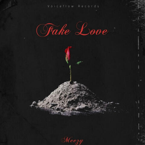 Fake Love