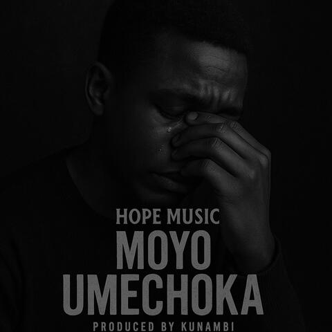 Moyo Umechoka