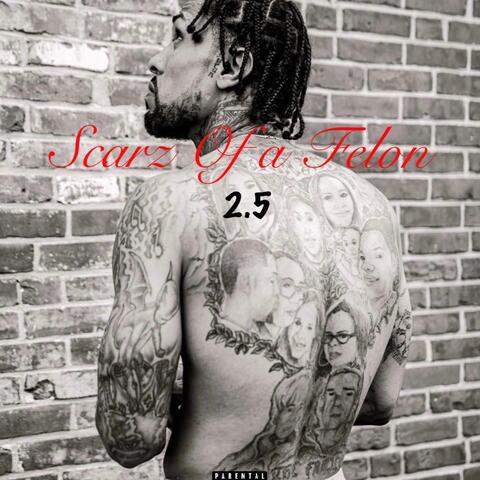 Scarz Of A Felon 2.5
