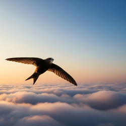 每一片空白的記憶