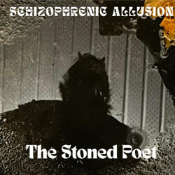 Schizophrenic Allusions