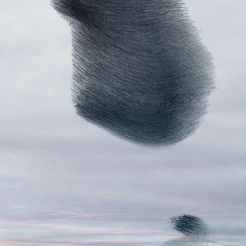 by a hair