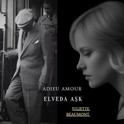 Elveda Aşk - Adieu Amour