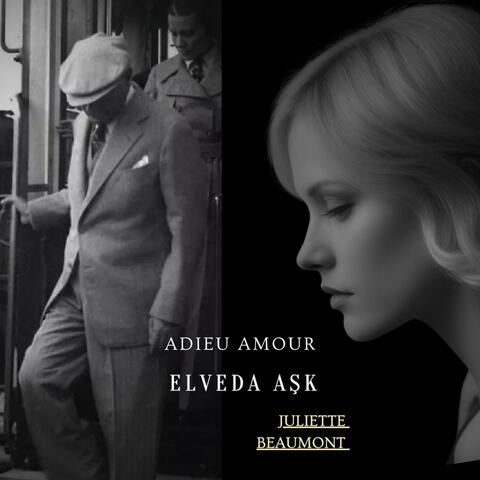 Elveda Aşk - Adieu Amour