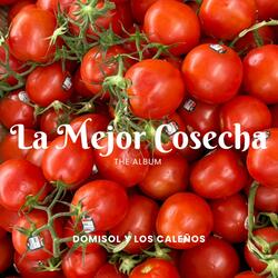 El Amor No Se Compra