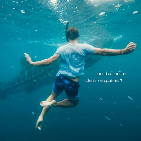 as-tu peur des requins?
