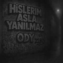 HİSLERİM ASLA YANILMAZ