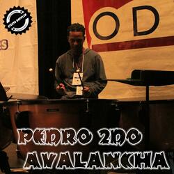 Pedro 2do Avalancha