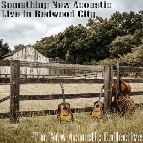 Something New Acoustic: Live in Redwood City
