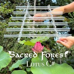 Lotus C# (Crystal Harp 432 Hz Crystal Serenity)