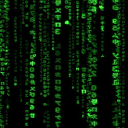 SO FAR GONE INTERLUDE